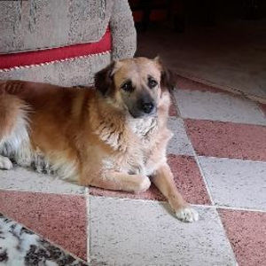 Meet your Posher, Ewan